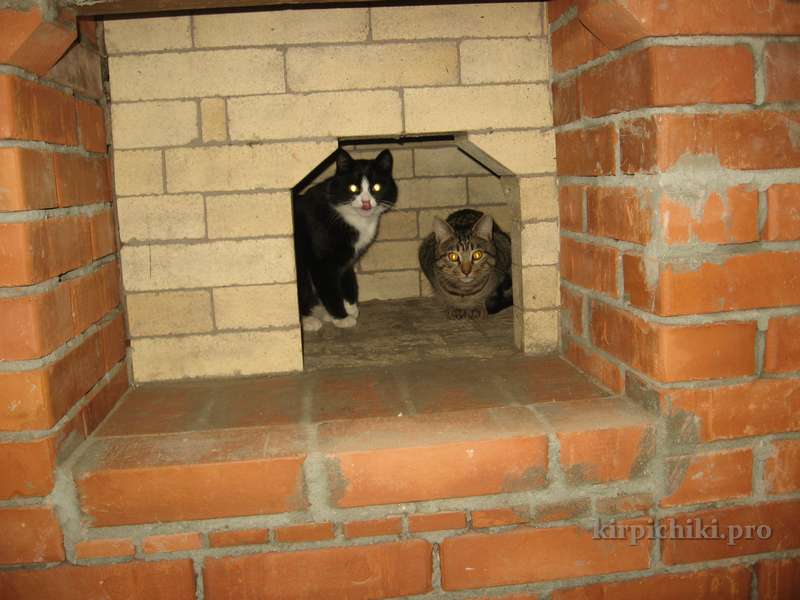 Коты знают где тепло