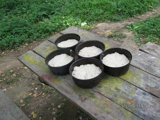 Формы с тестом.